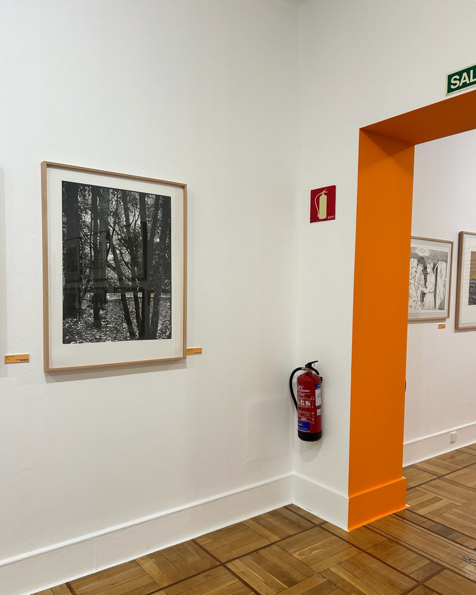 Exposición "Tinta de verano 2025"