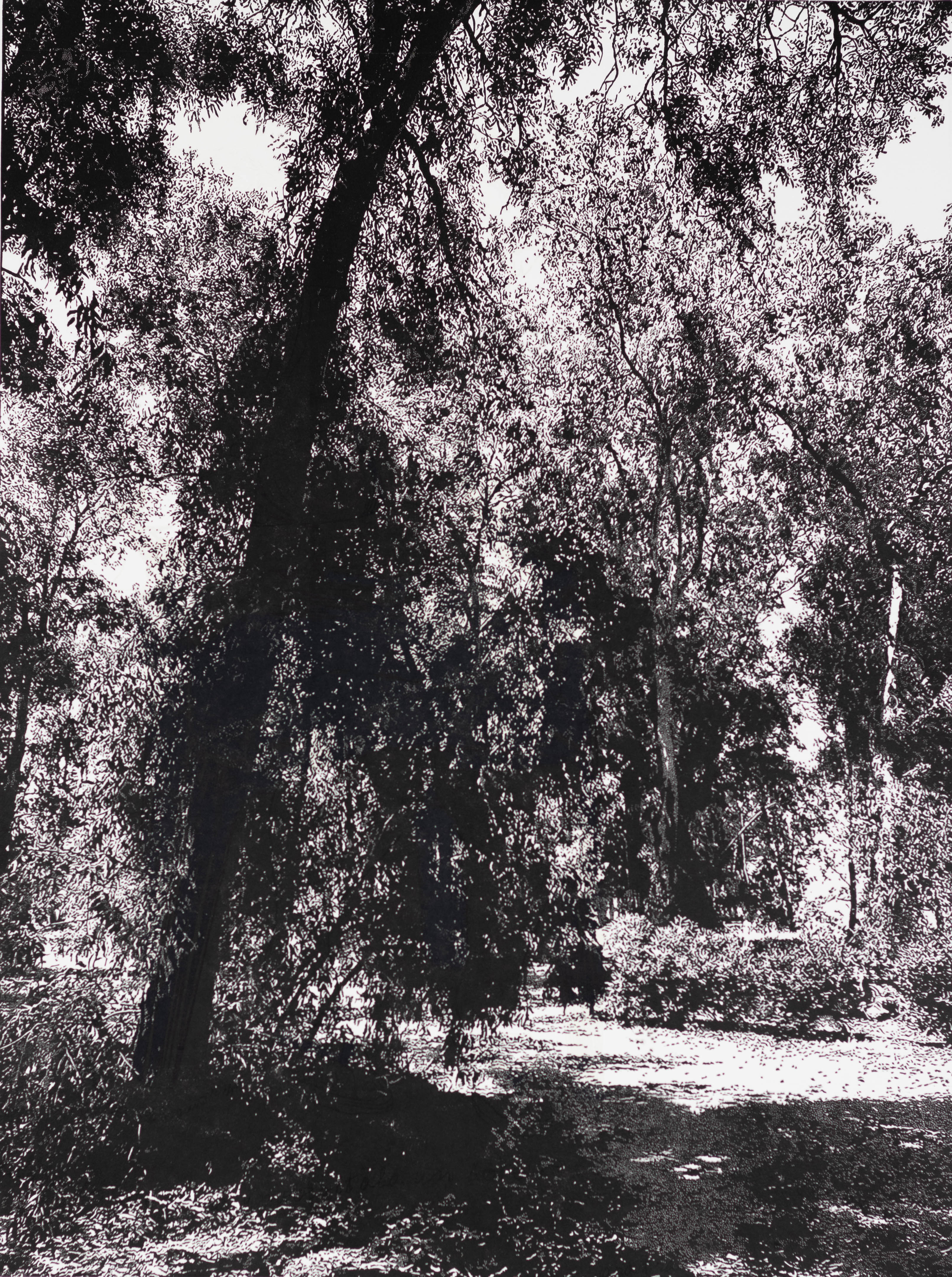 El huerto del fraile