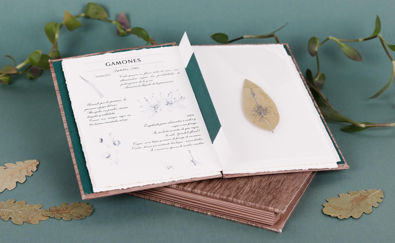 Cuaderno de campo